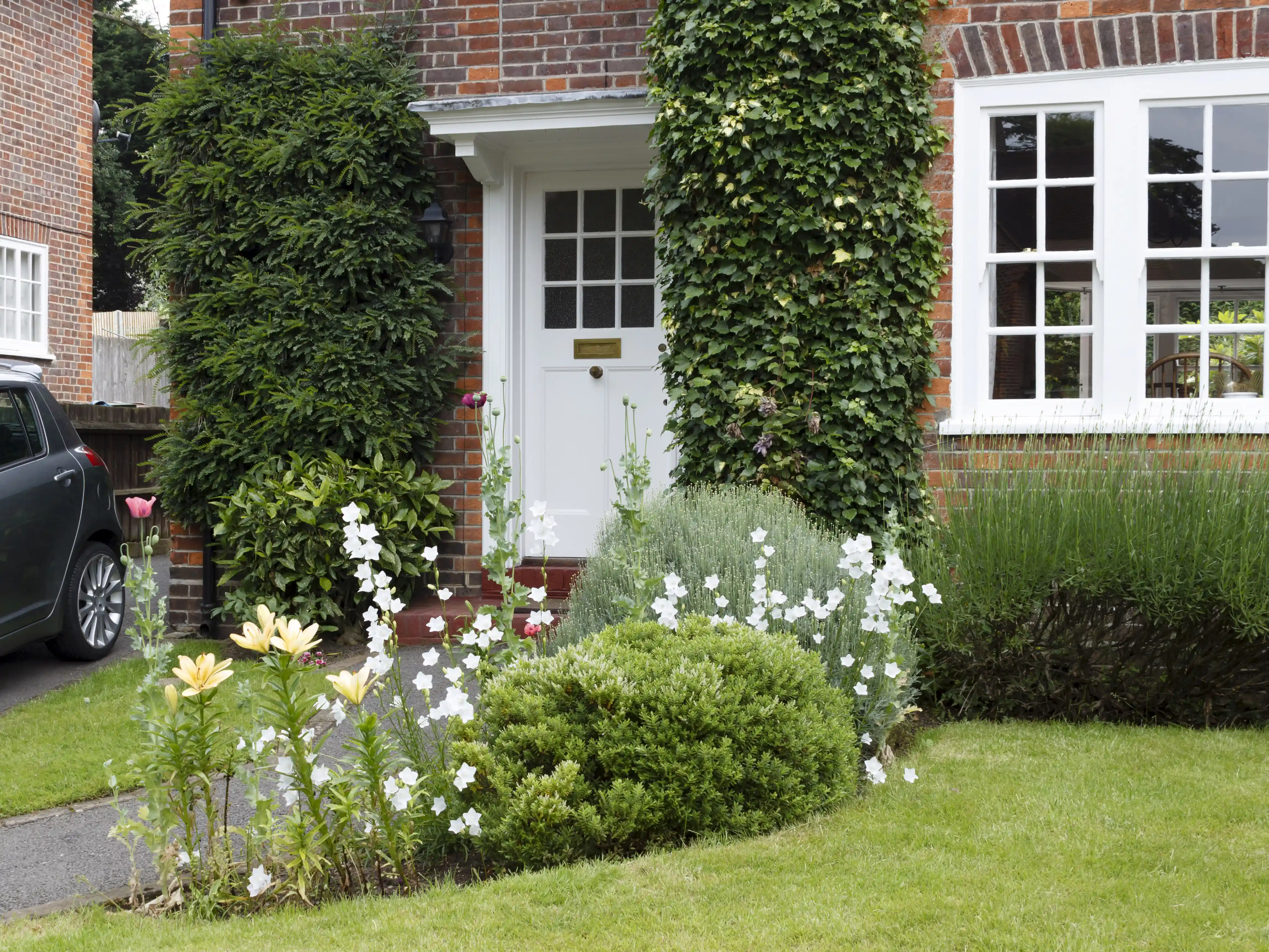wickes-gardens-big-impact-small-garden-4.webp