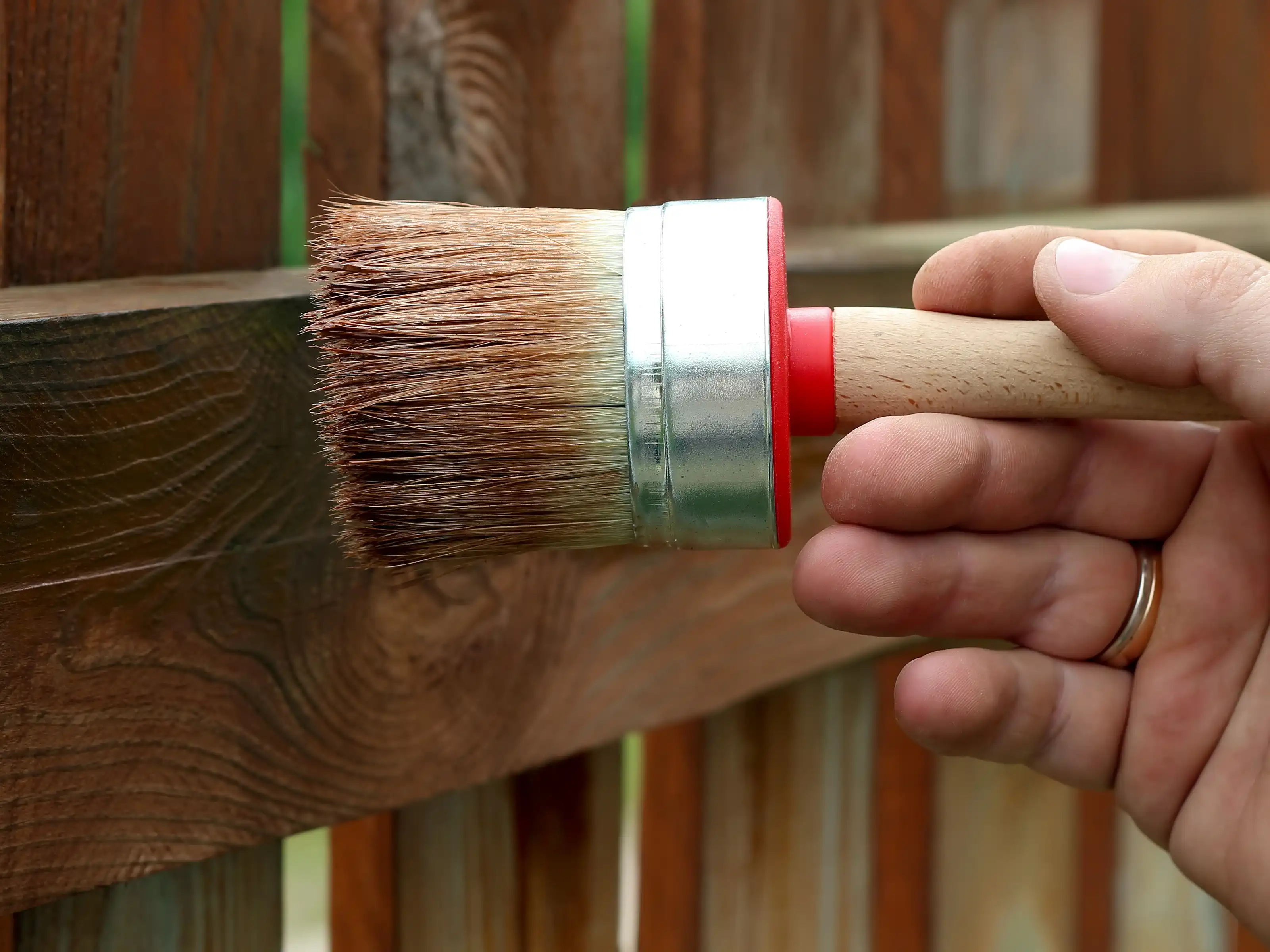wickes-garden-caring-for-fencing-4.webp