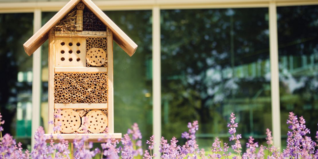 seed feeders for small birds