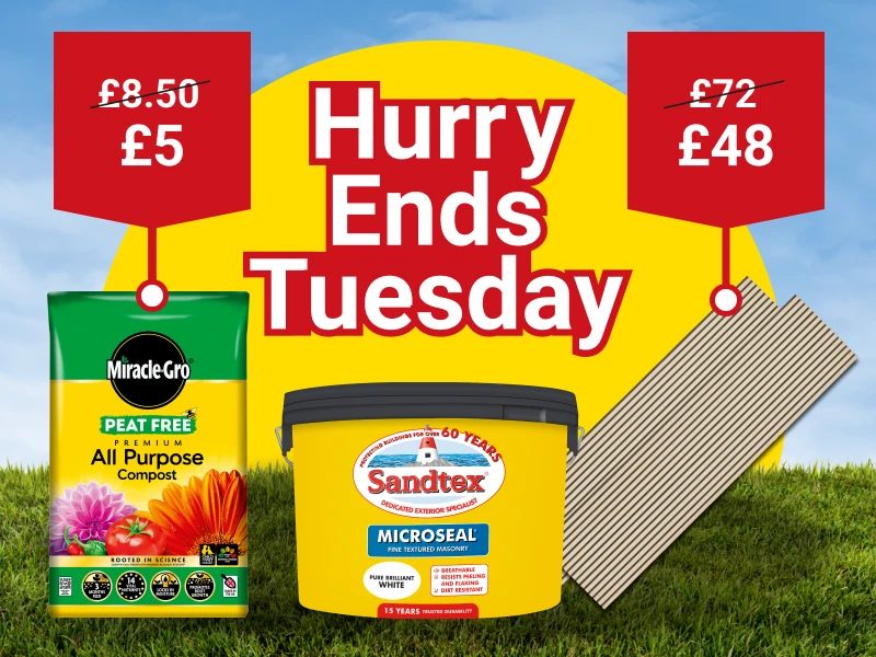 2220x600-EndsTuesday-August-5-Day-Deal.webp
