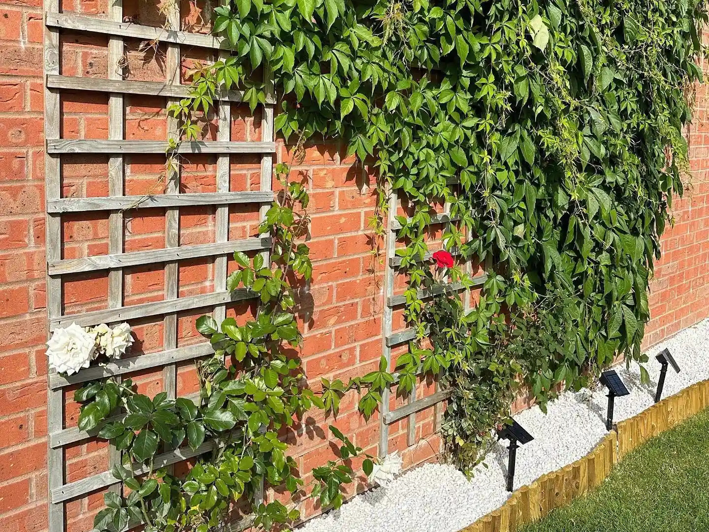 wickes-gardens-big-impact-small-garden-12.webp