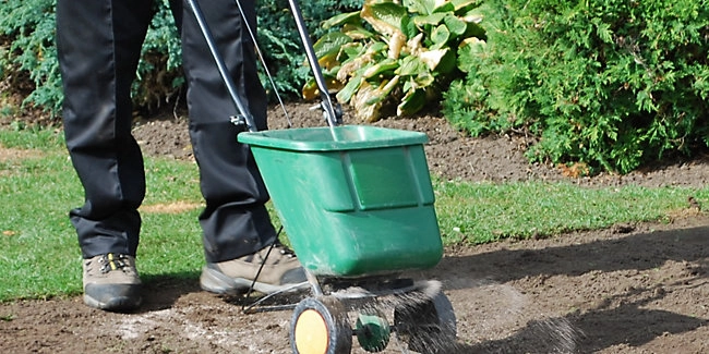 wickes-garden-lay-lawn-turf-9.webp