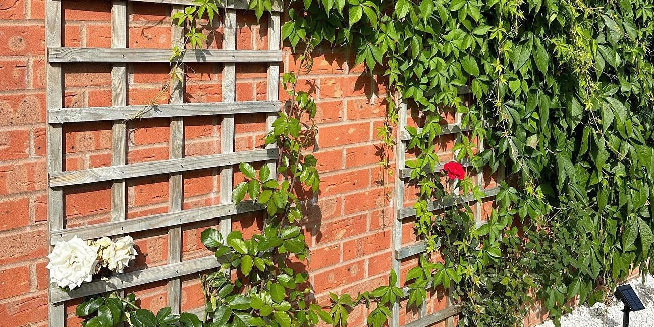 wickes-gardens-attach-a-trellis-7.webp