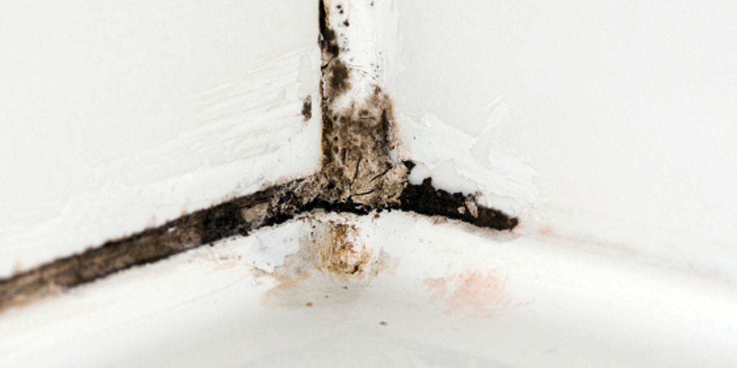wickes-bathrooms-get-rid-of-mould-8.jpg