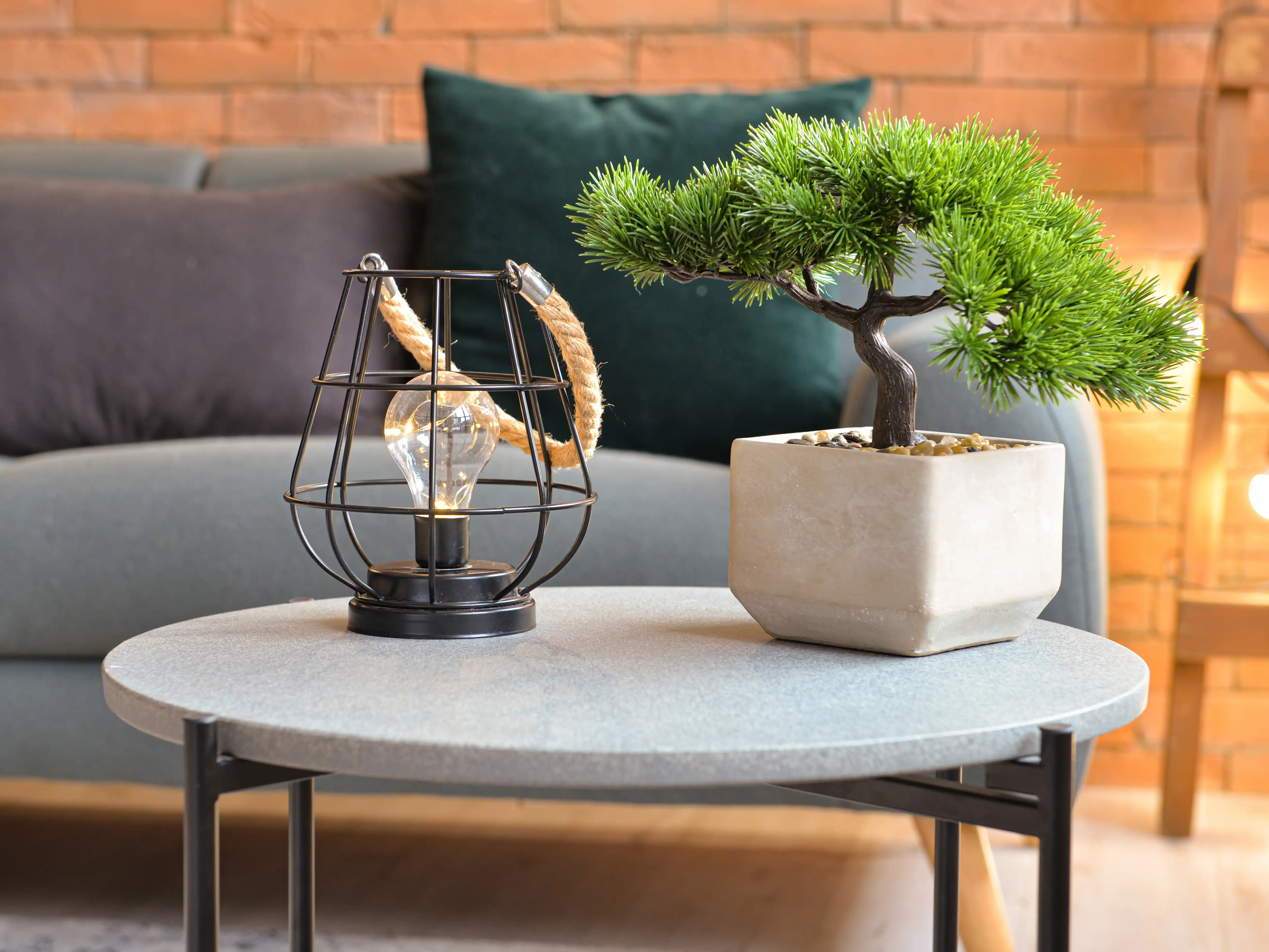 wickes-gardens-bonsai-care-2.webp