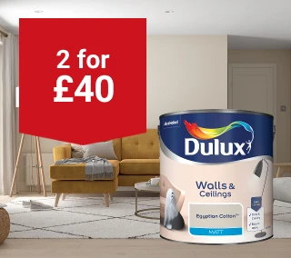 Hero-Desktop-Paint-2for-Show X For-February.webp