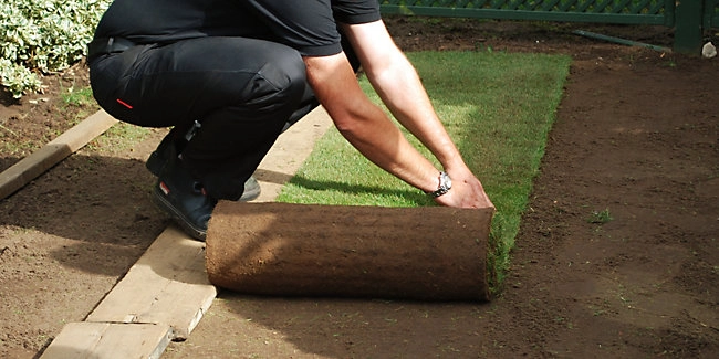 wickes-garden-lay-lawn-turf-11.webp