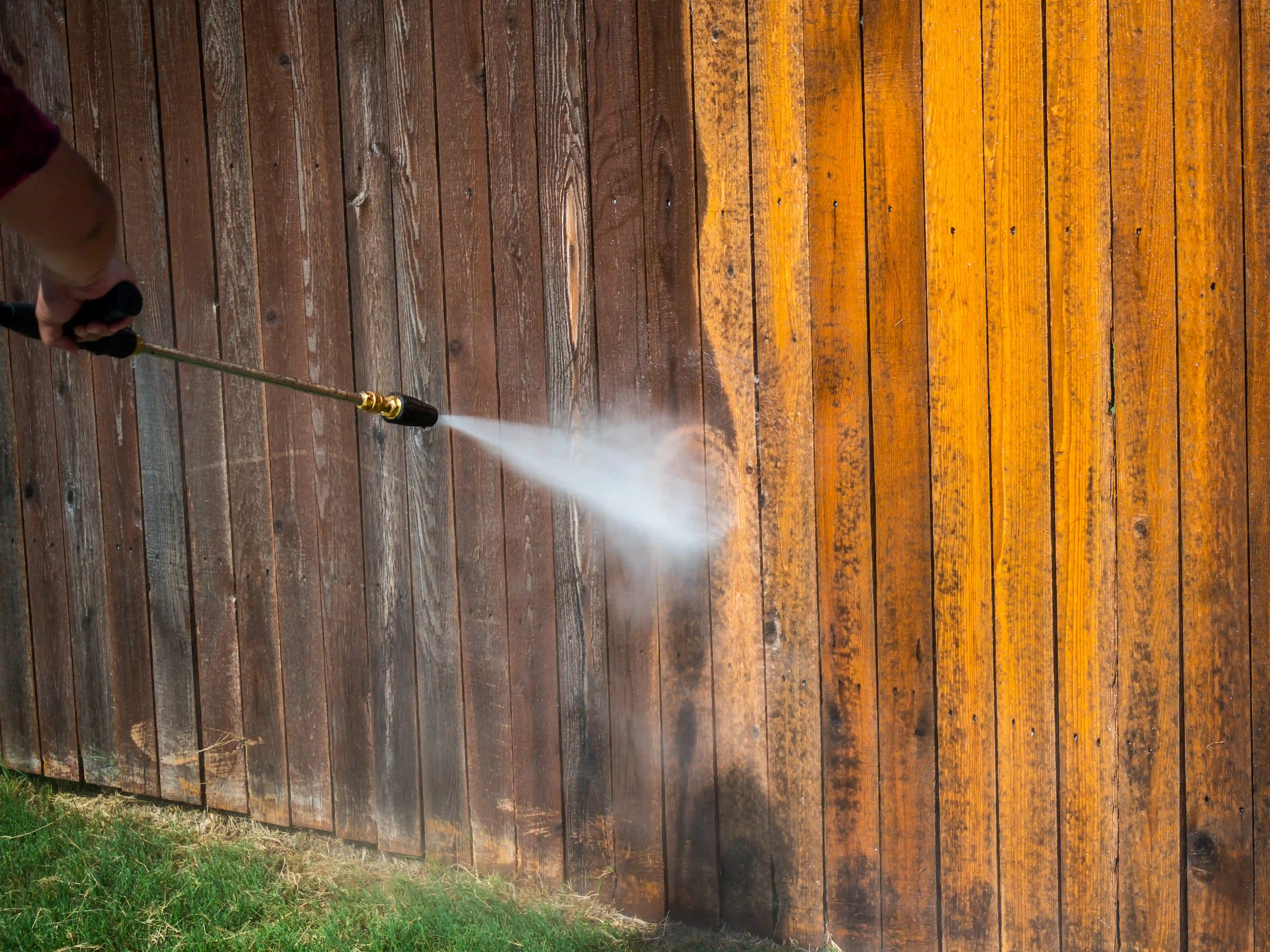 wickes-garden-caring-for-fencing-2.webp