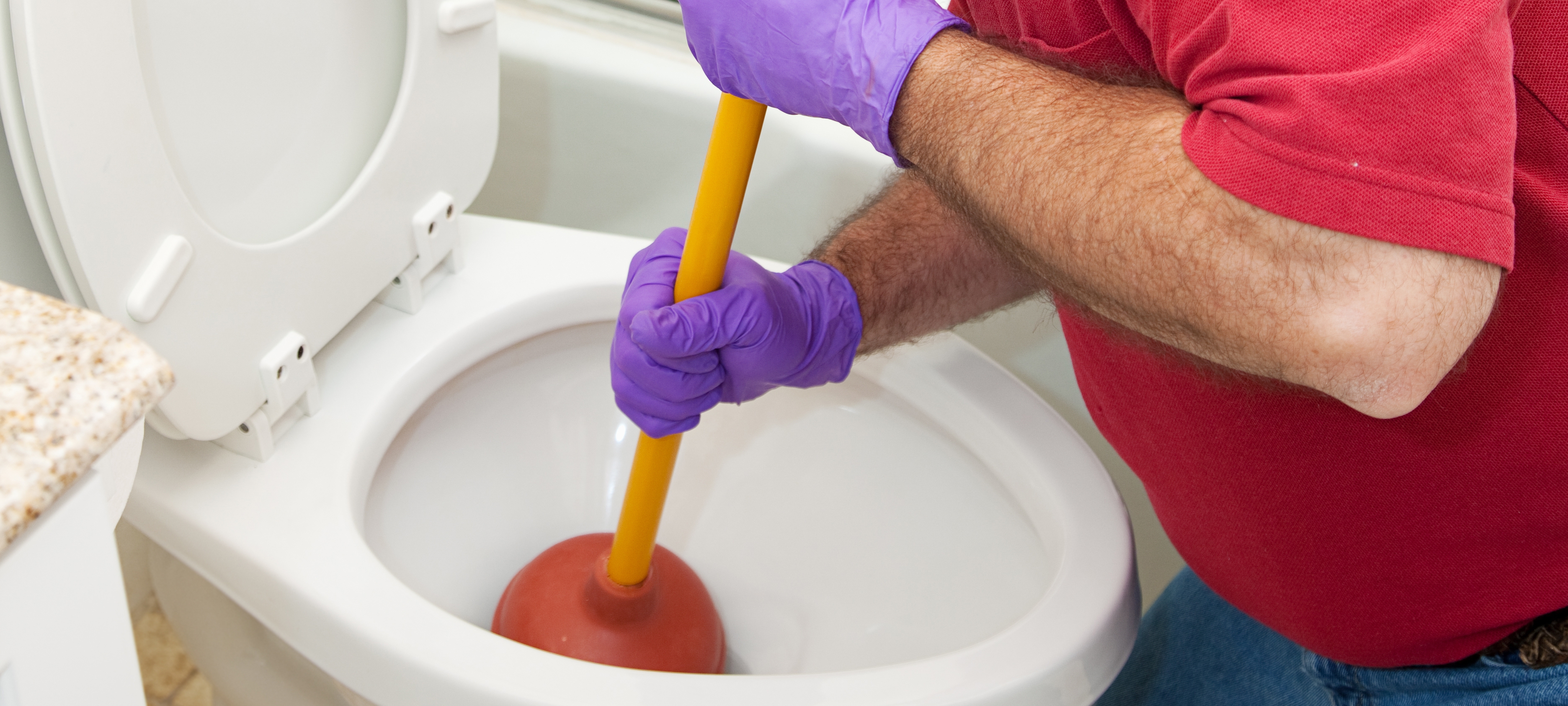 unblock-toilet-plunger.jpg