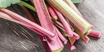 13.Rhubarb_plant.jpeg