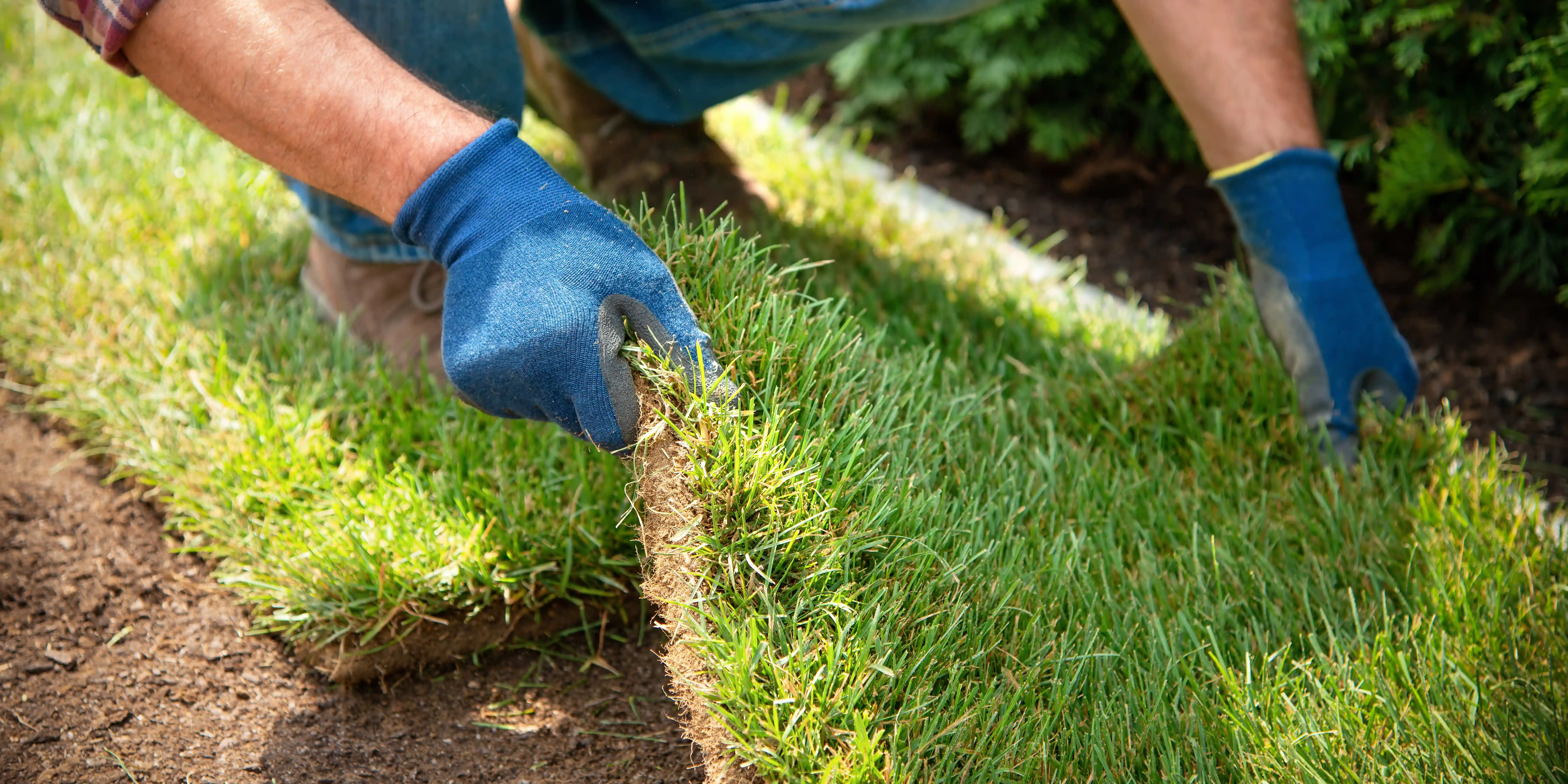 wickes-garden-lay-lawn-turf-3.webp