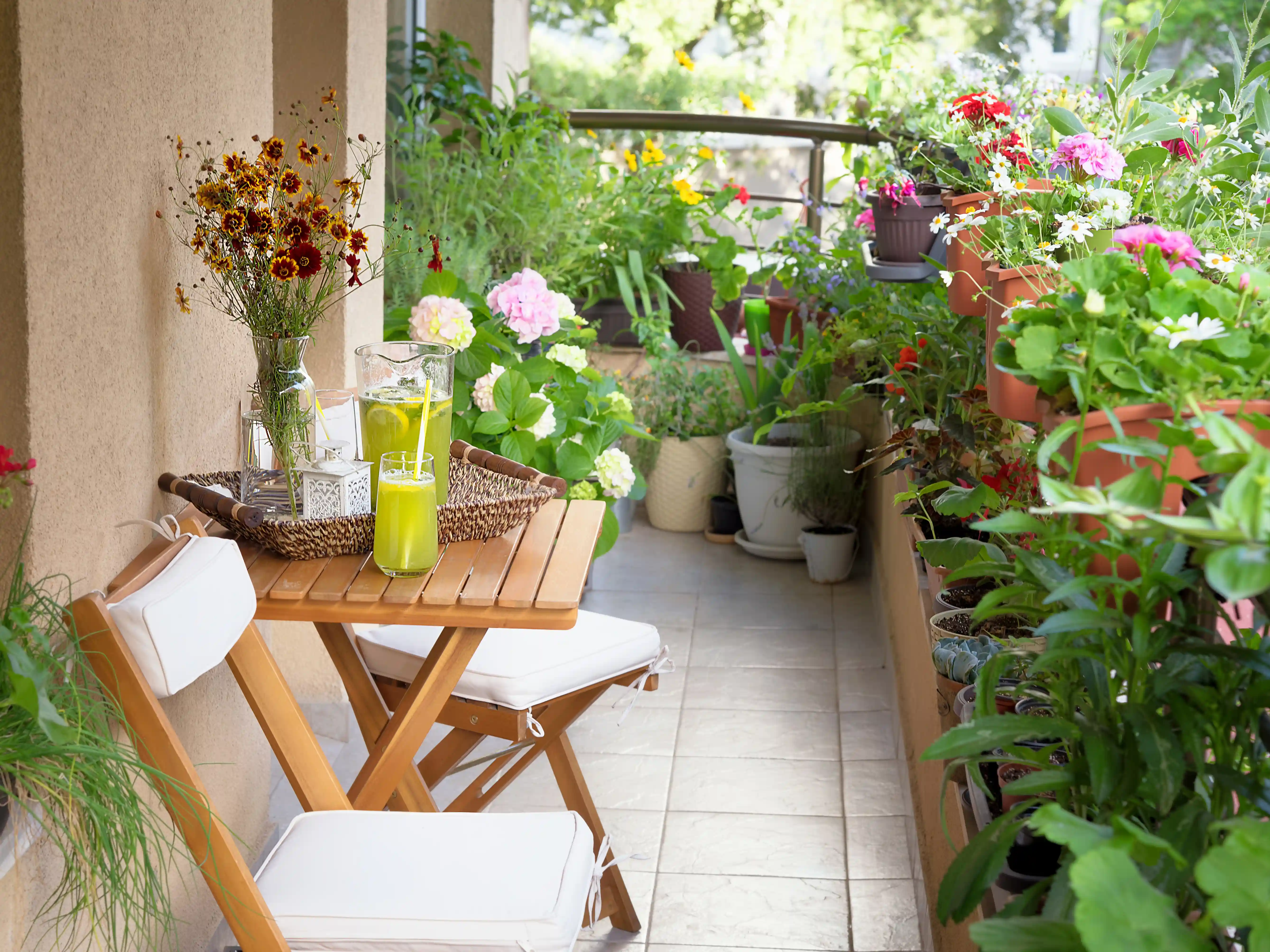 wickes-gardens-big-impact-small-garden-6.webp