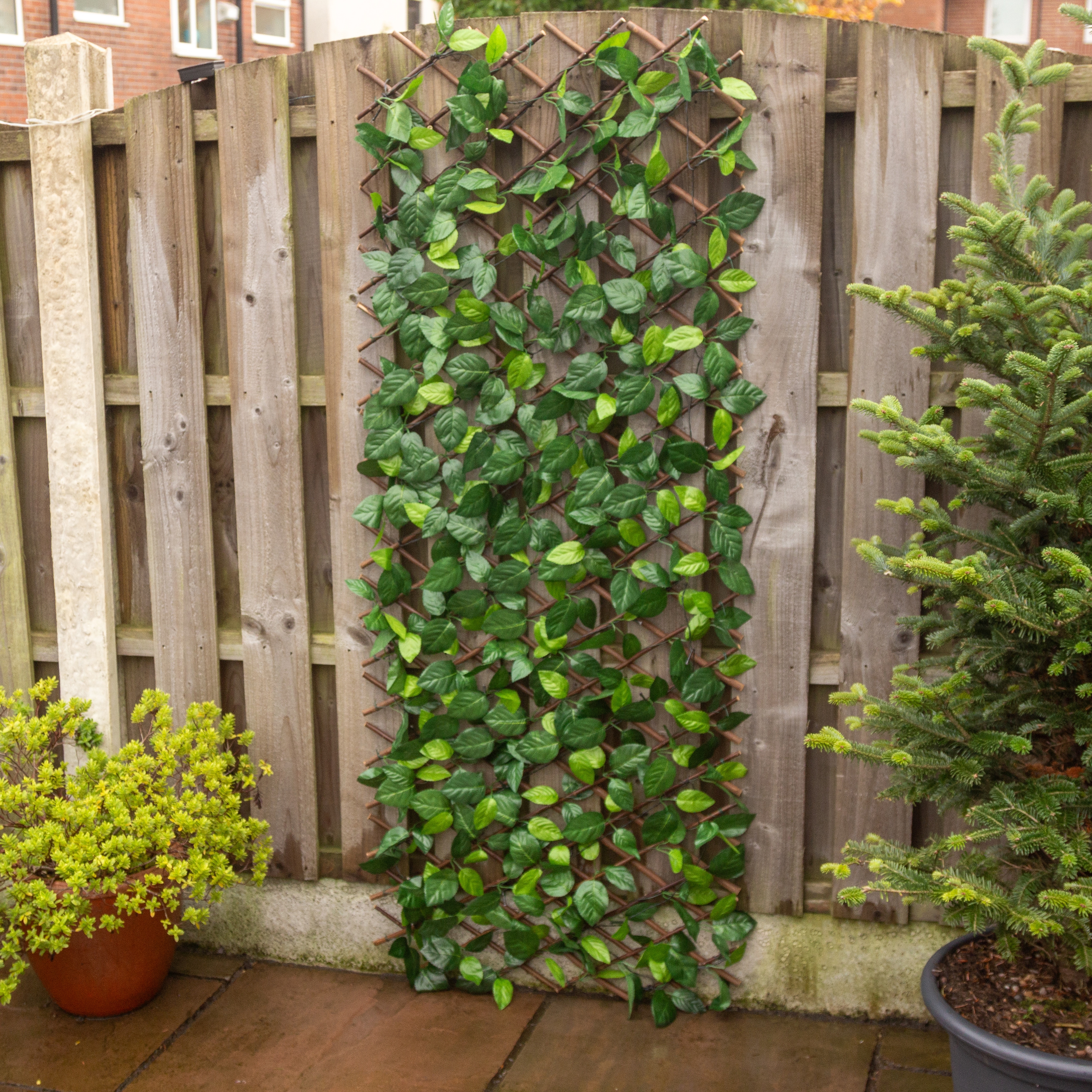 Apollo Gardening Rose Leaf Trellis - 1.8m x 0.6m