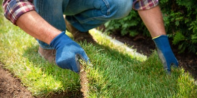 Geting_ready_for_new_grass_When_to_lay_your_new_lawn.jpg