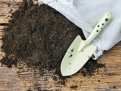 Soil and trowel