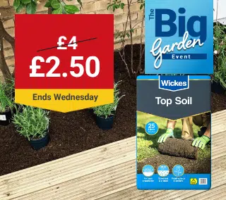 Wednesday-Hero-Desktop-Top-Soil-Garden-WasNow-September.png