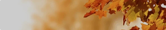 Ideas & Advice Card-Autumn-2025.webp