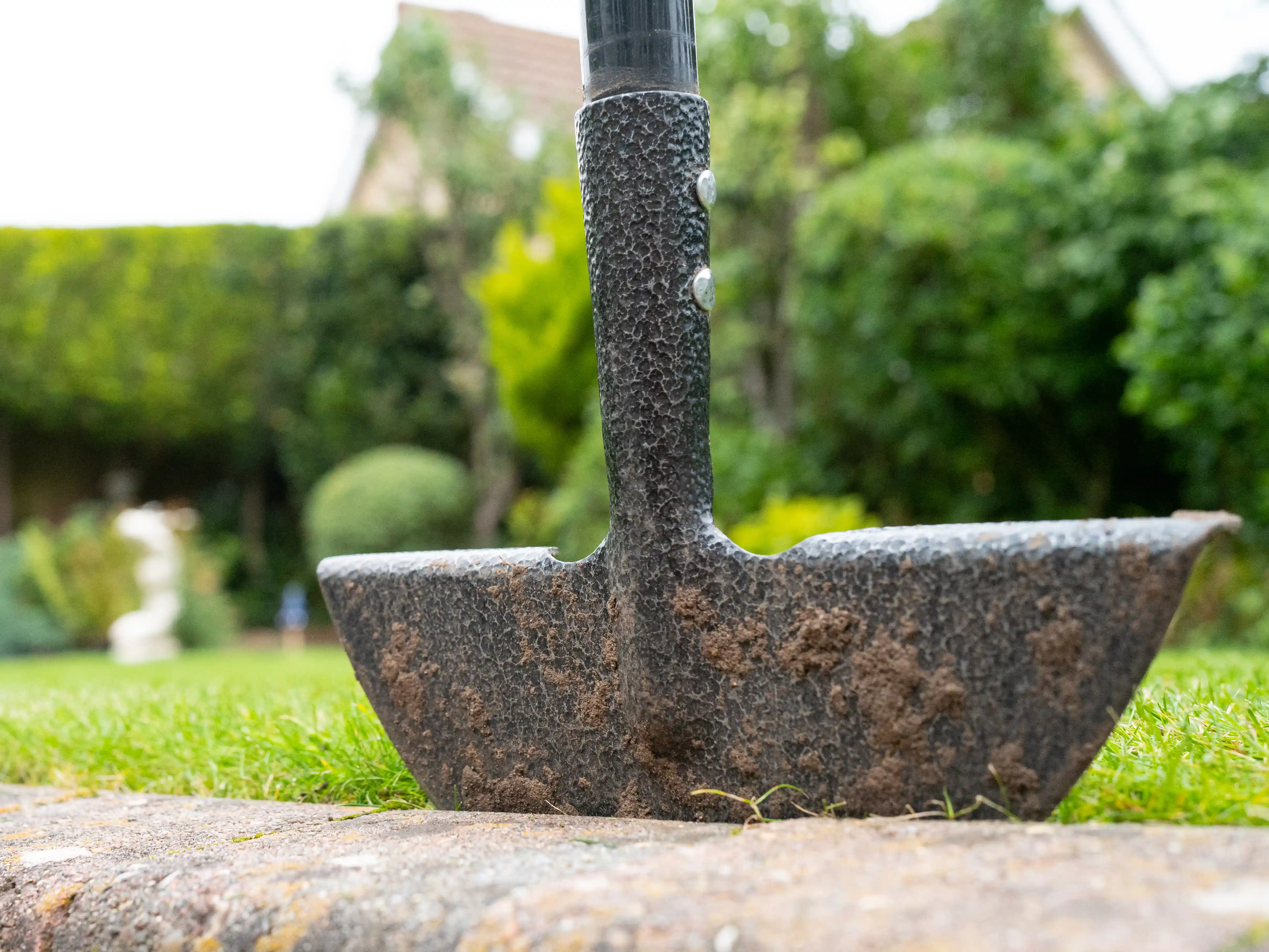 wickes-garden-lay-lawn-turf-30.webp