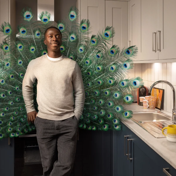 TV Advert