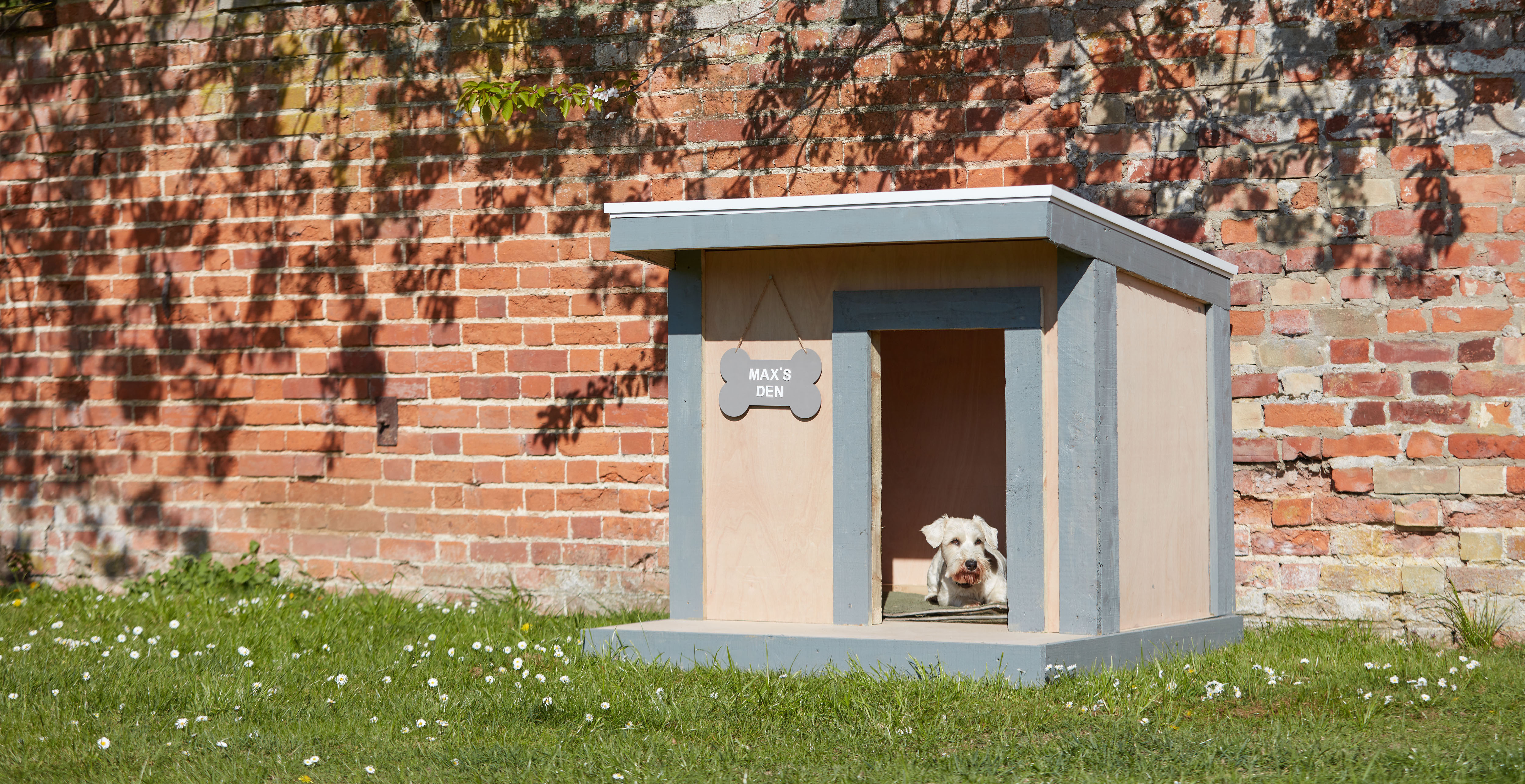 Nice 2024 dog houses