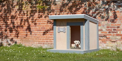 Build a doghouse