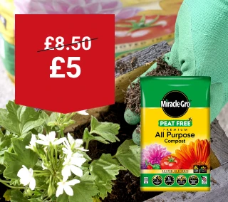 Hero-Desktop-Miracle-Gro-WasNow-Gardens-June.webp