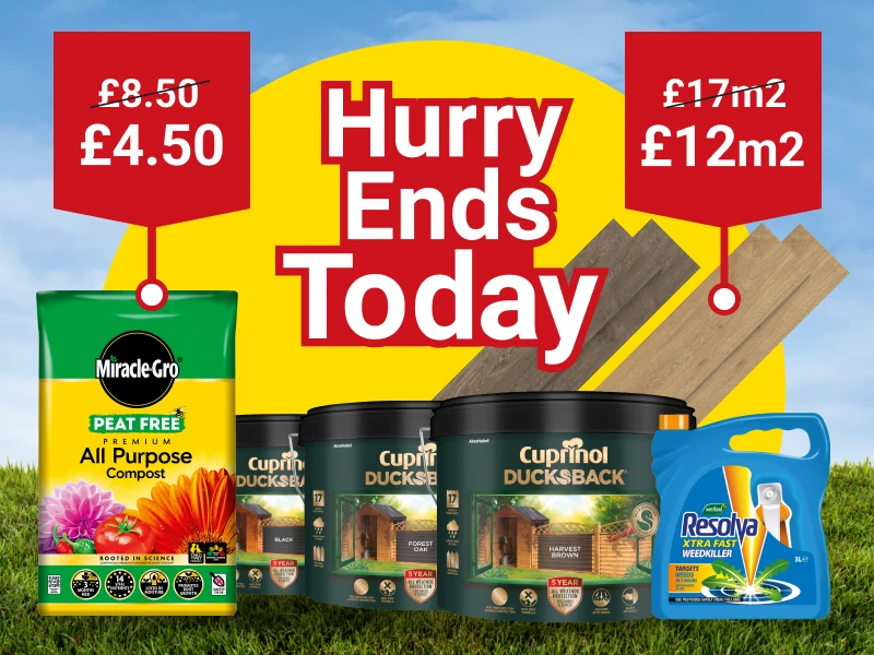 2220x600-EndsToday-May-5-Day-Deal.webp