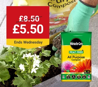 Wednesday-Hero-Desktop-Miracle-Gro-Gardens-WasNow-July.webp