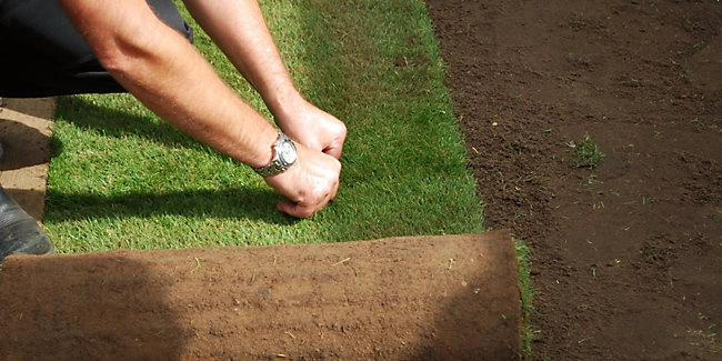 wickes-garden-lay-lawn-turf-12.webp