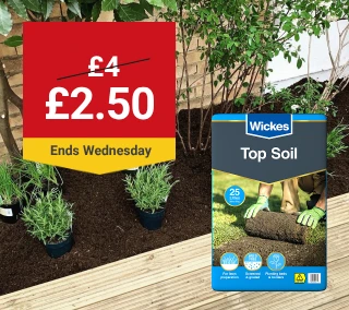 Wednesday-Hero-Desktop-Top-Soil-WasNow-March.webp