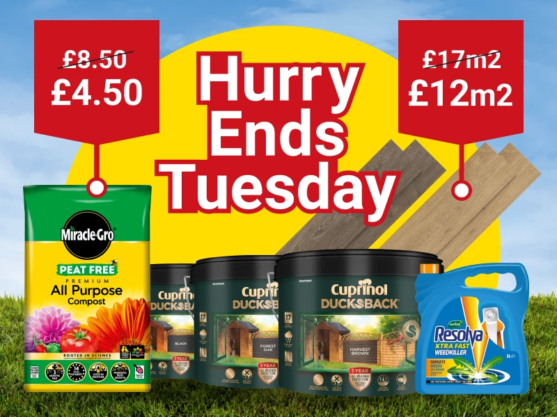 2220x600-EndsTuesday-May-5-Day-Deal.webp