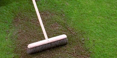 22.Maintaining-your-lawn.jpeg