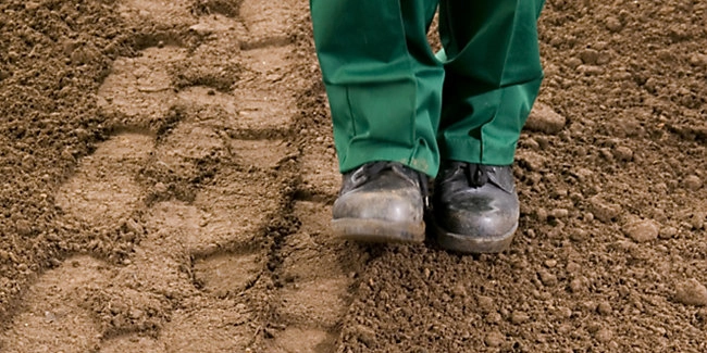 wickes-garden-lay-lawn-turf-8.webp