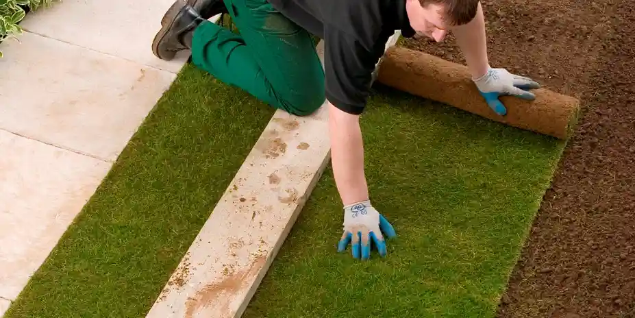 wickes-garden-lay-lawn-turf-1.webp