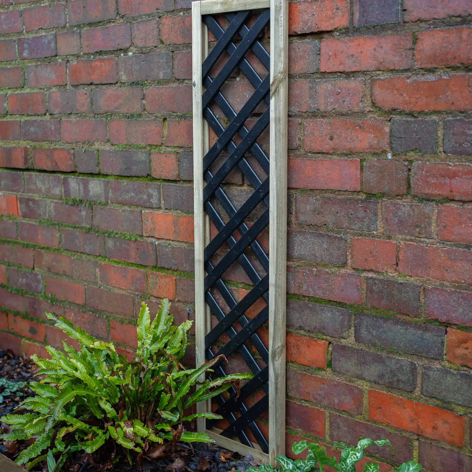 Forest Garden Trellis Black Painted Lattice - 300 x 1200mm