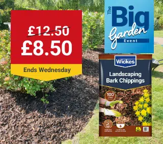 Wednesday-Hero-Desktop-Bark-Chippings-Garden-WasNow-September.webp