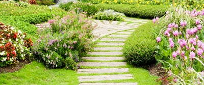 Step51_Pathway_in_Garden.jpeg