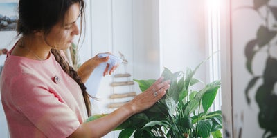 house-plant-love_title.jpg