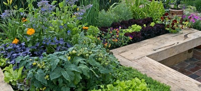 Sleeper_in_garden_with_flowers.jpeg