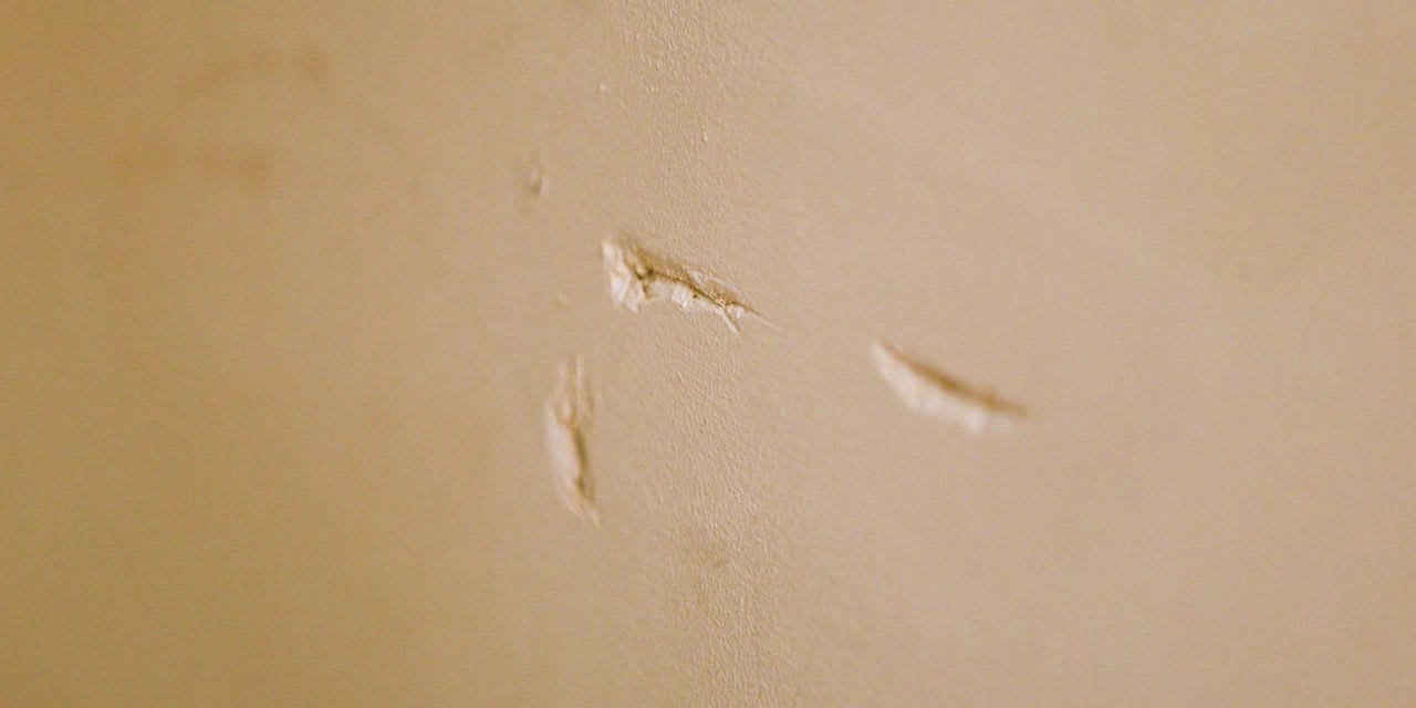 wickes-decorating-preparing-walls-and-ceilings-7.webp