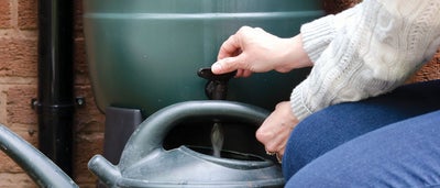 9.Watering_can.jpeg