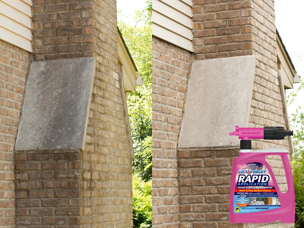wet-forget-pink-product.jpg