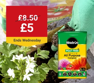 Wednesday-Hero-Desktop-Miracle-Gro-Gardens-WasNow-June.webp