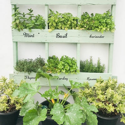 006-garden-herb-planter.png