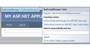 MY ASPNET RadScript Manager screenshot