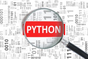 python language magnifying glass