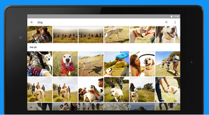 How To: Never Lose a Photo Again With the Right Cloud-Based Backup Tools How To: Never Lose a Photo Again With the Right Cloud-Based Backup Tools