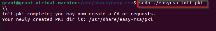 shows Linux command to set up the public key infrastructure in Easy-RSA shows Linux command to set up the public key infrastructure in Easy-RSA