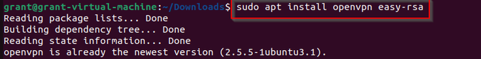 shows Linux command to install OpenVPN and Easy-RSA shows Linux command to install OpenVPN and Easy-RSA