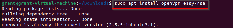 shows Linux command to install OpenVPN and Easy-RSA shows Linux command to install OpenVPN and Easy-RSA